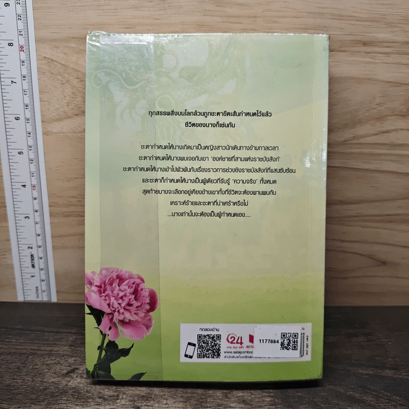 ลำนำจอมนาง - นาย่า รูปที่ 5