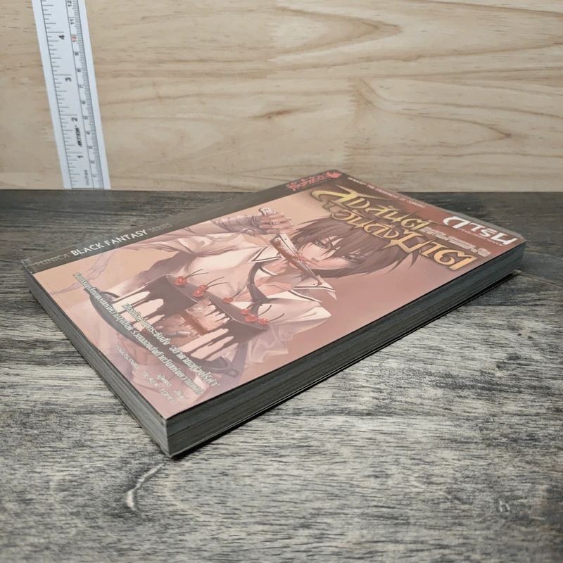 การิน ปริศนาคดีอาถรรพ์ เล่ม 7 ตอน สุขสันต์วันถึงฆาต - อัยย์ รูปที่ 3