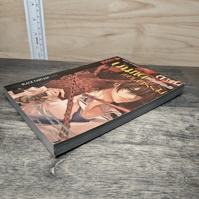 การิน ปริศนาคดีอาถรรพ์ เล่ม 8 ตอน บันทึกเขียนกรรม - อัยย์ รูปที่ 3