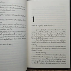 บุษบาอ้อนรัก - ทักษาวารี รูปที่ 7