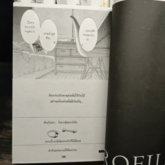 Love Mode 6 เล่มจบ รูปที่ 8