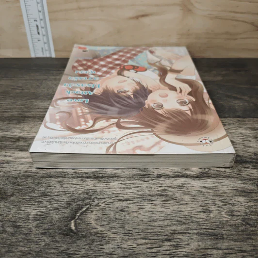 Love Attack โปรดระวังความรักพุ่งชน - หนุ่มกรุงโซล รูปที่ 4