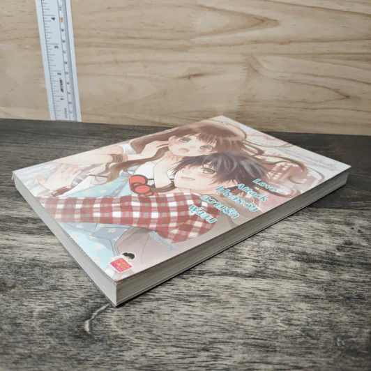 Love Attack โปรดระวังความรักพุ่งชน - หนุ่มกรุงโซล รูปที่ 3