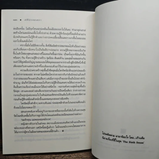 The Sixth Sense เล่ห์บ่วงมนตรา - ซ่อนกลิ่น รูปที่ 8