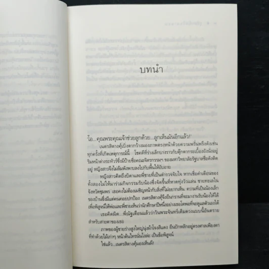 เปลวไฟในสายลม - แพรณัฐ รูปที่ 6