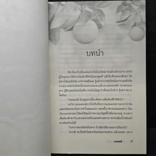 หวานรัก...พยัคฆ์ร้าย - บรรพตี รูปที่ 7