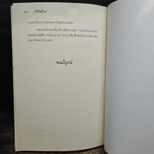 เมียไซด์ไลน์ - เขมมิกา รูปที่ 8