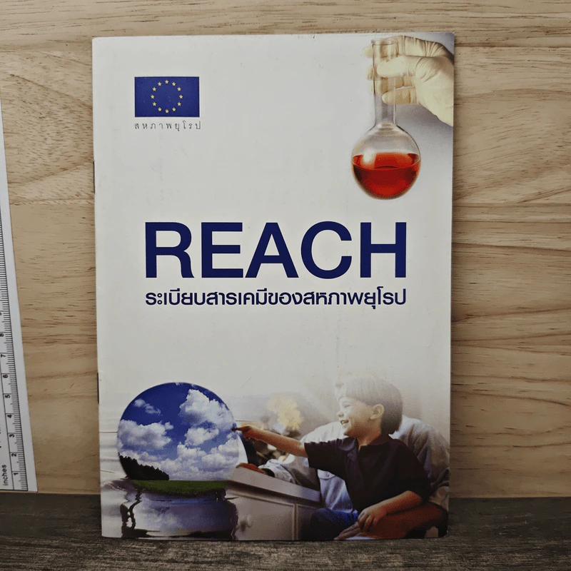 REACH ระเบียบสารเคมีของสหภาพยุโรป รูปที่ 1