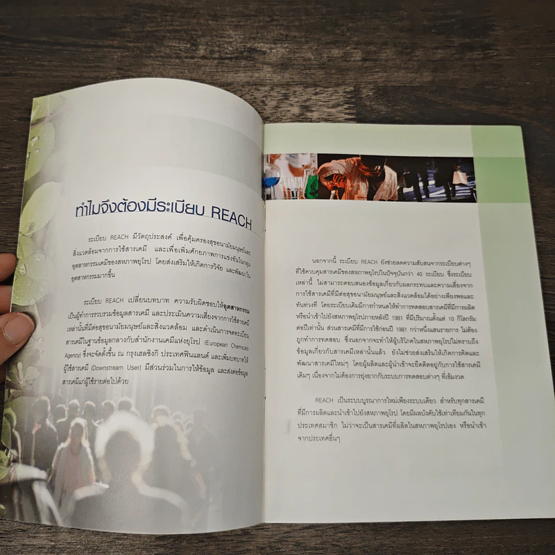REACH ระเบียบสารเคมีของสหภาพยุโรป รูปที่ 6