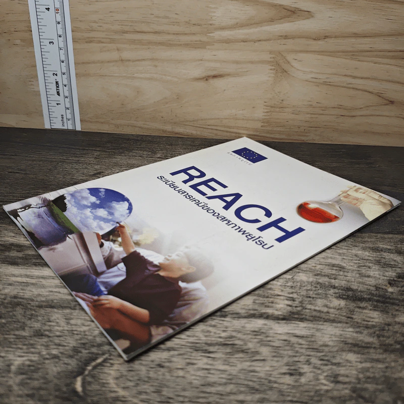 REACH ระเบียบสารเคมีของสหภาพยุโรป รูปที่ 3