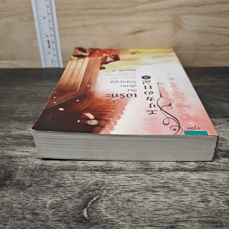 เอริกะกับพันธะวิญญาณ เล่ม 2 - Senorita-P รูปที่ 4