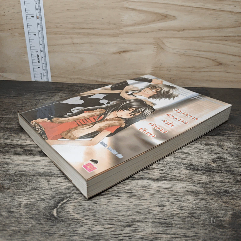 ปฏิบัติการแอบถ่ายหัวใจเจ้าชายเย็นชา - Hideko_Sunshine รูปที่ 3