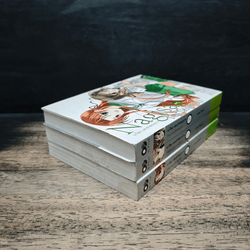 นางิสะ แสบซ่าสยบมาร เล่ม 1-3 รูปที่ 4