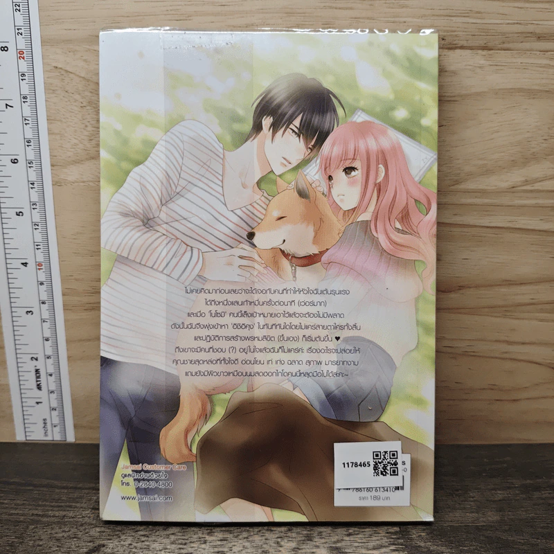 Nippon Cutie รักหวานละมุนวุ่นหัวใจหนุ่มชิงกันเซน - เจ้าหญิงผู้เลอโฉม รูปที่ 5