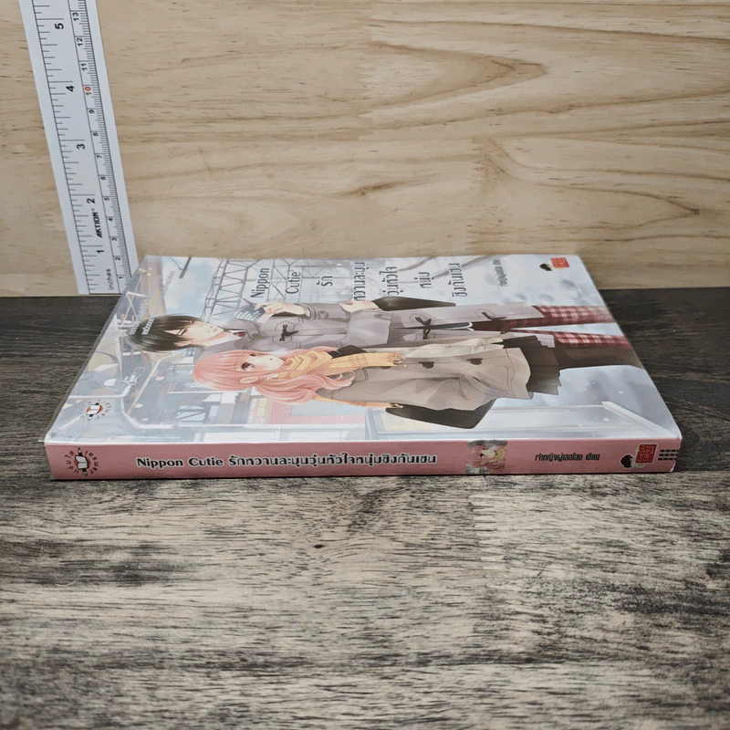 Nippon Cutie รักหวานละมุนวุ่นหัวใจหนุ่มชิงกันเซน - เจ้าหญิงผู้เลอโฉม รูปที่ 2