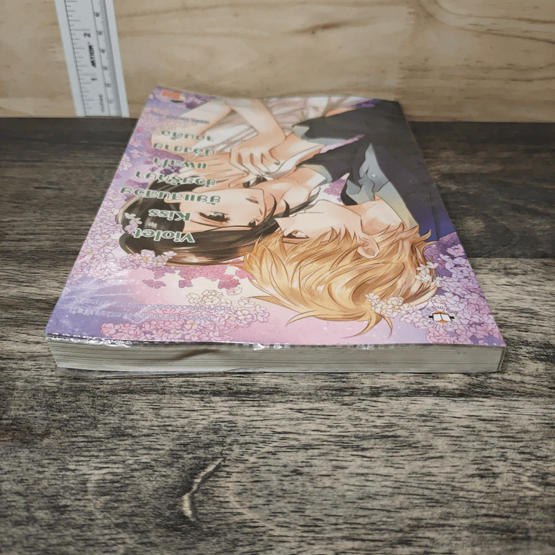 Violet Kiss ยัยแสนสวยช่วยรักษาแผลใจน้องชายจอมดื้อ - Hideko Sunshine รูปที่ 4