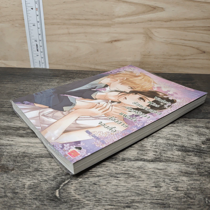Violet Kiss ยัยแสนสวยช่วยรักษาแผลใจน้องชายจอมดื้อ - Hideko Sunshine รูปที่ 3