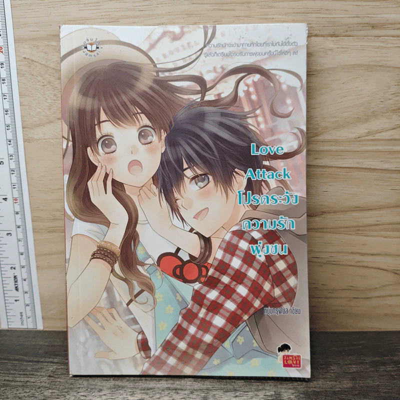 Love Attack โปรดระวังความรักพุ่งชน - หนุ่มกรุงโซล รูปที่ 1
