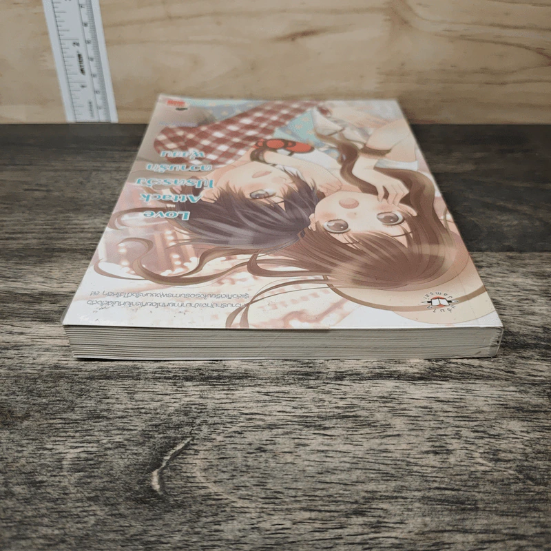 Love Attack โปรดระวังความรักพุ่งชน - หนุ่มกรุงโซล รูปที่ 4