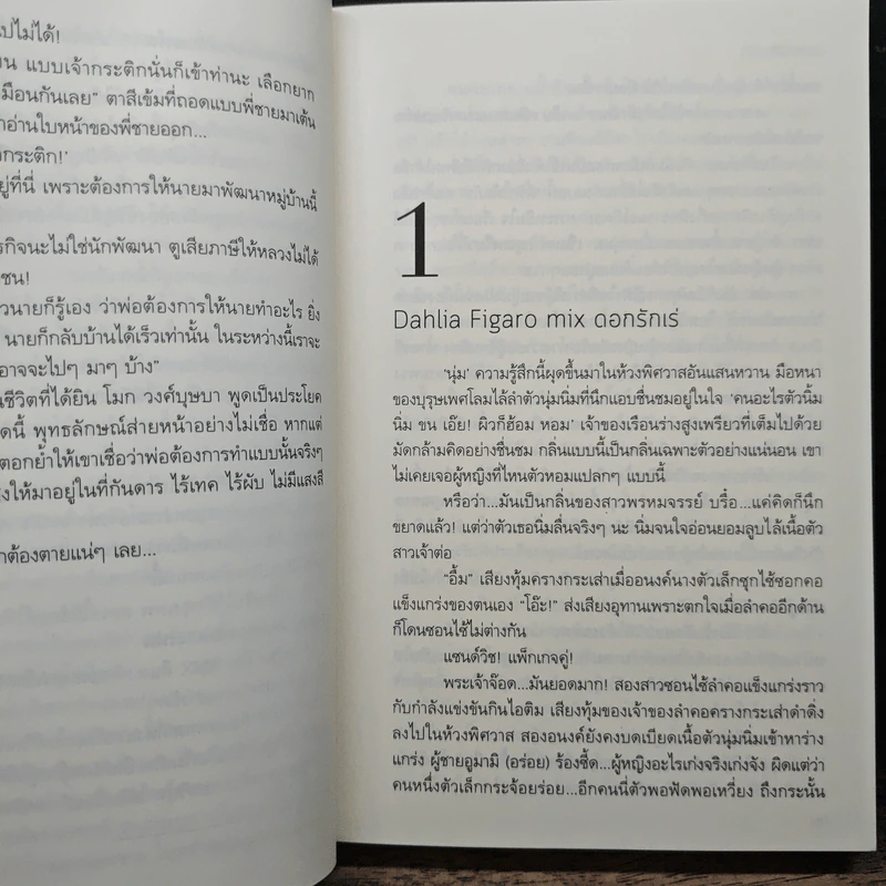 บุษบาอ้อนรัก - ทักษาวารี รูปที่ 7