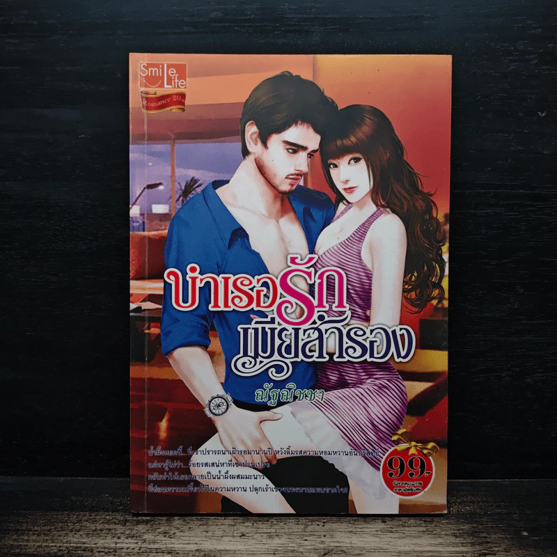 บำเรอรักเมียสำรอง - ณัฐณิชชา รูปที่ 1