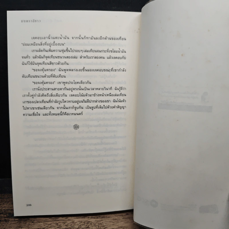 นิมิตมนตรา ตอน มนตราสีขาว - Laurie Faria Stolarz (ลอรี่ ฟาเรีย สโตลาร์ซ) รูปที่ 8