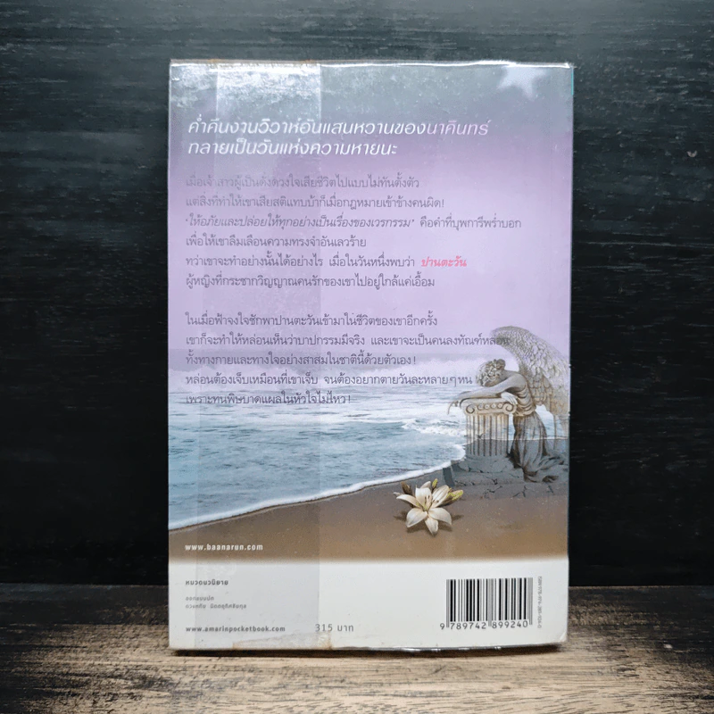 เสน่หาสัญญาแค้น เล่ม 2 - Shayna รูปที่ 2