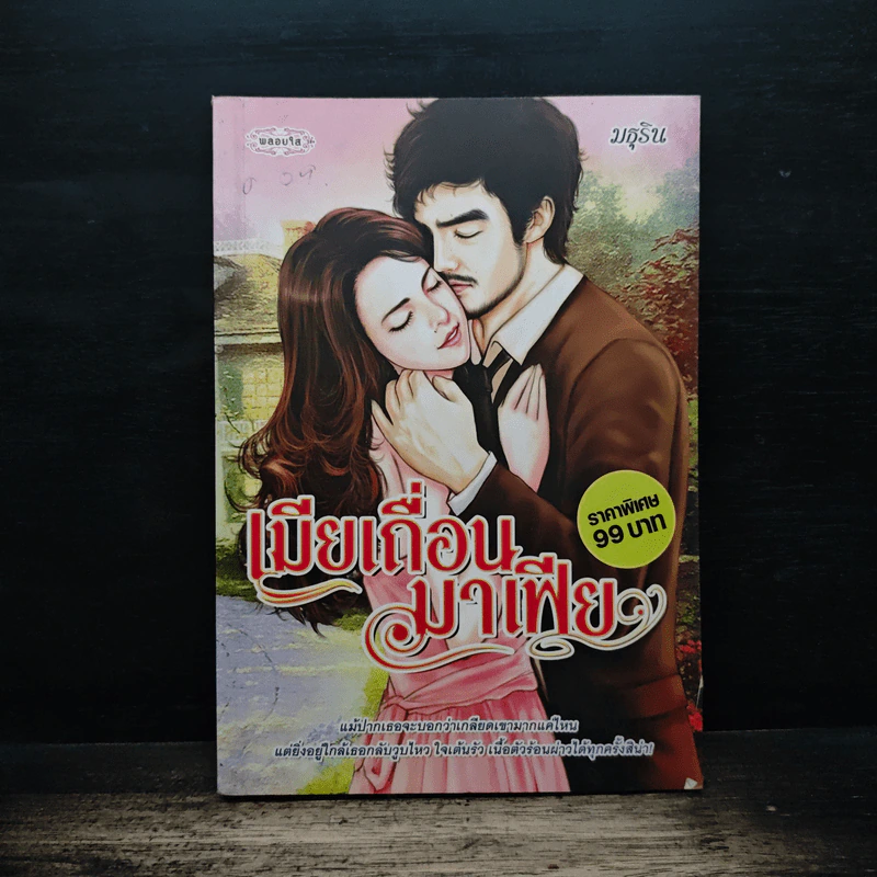 เมียเถื่อนมาเฟีย - มธุริน รูปที่ 1