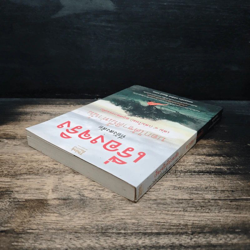 เรื่องจริงที่ยังสงสัย บอกได้ชาตินี้เท่านั้น เล่ม 4 (เล่มใหม่) อกุศลกรรมดับ - พระมหาช่วง แห่งธิงค์ บียอนด์ ธรรมะ รูปที่ 5