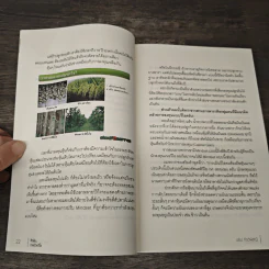 ติวหุ้น...รวยด้วยวีไอ - อธิป กีรติพิชญ์ (นิ้วโป้ง Fundamental VI), ติงลี่ รูปที่ 8