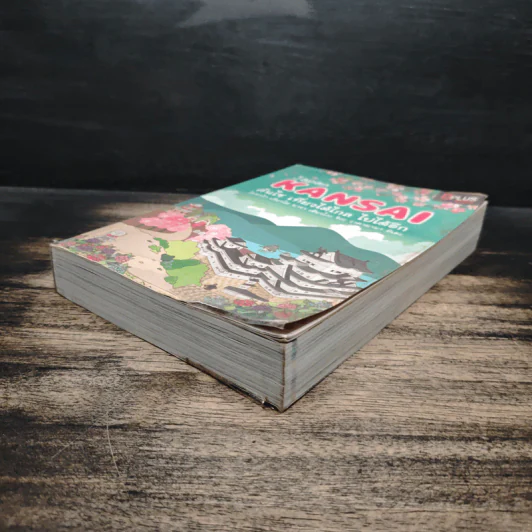 Japan Kansai คันไซ เที่ยวได้ไกล ไปได้อีก - DPLUS GUIDE รูปที่ 4
