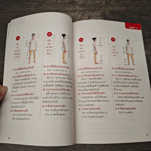 30 ท่ายืดเส้นคลายกล้ามเนื้อ - แพทย์จีนโสรัจ นิโรธสมาบัติ รูปที่ 8