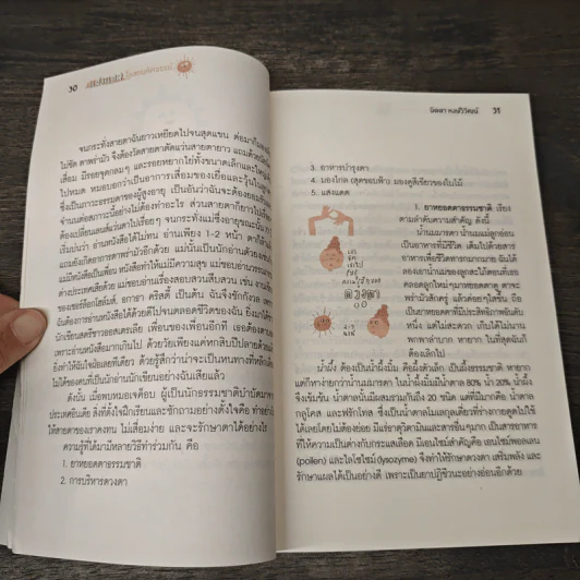 แสงแดด โอสถมหัศจรรย์ - นิดดา หงษ์วิวัฒน์ รูปที่ 8
