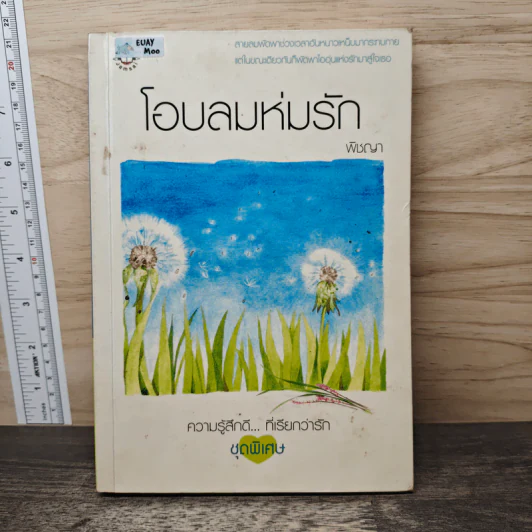 โอบลมห่มรัก - พิชญา รูปที่ 1