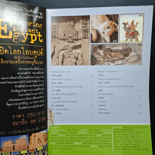 ต่วยตูนพิเศษ ปีที่ 41 ฉบับที่ 483 พฤษภาคม 2558 รูปที่ 7