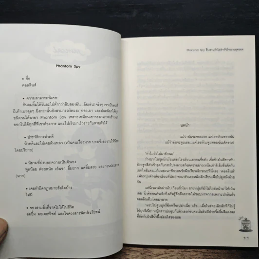 Phantom Spy สืบสวนรักไล่ล่าหัวใจนายสุดฮอต - Hideko_Sunshine รูปที่ 7