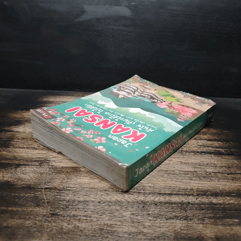 Japan Kansai คันไซ เที่ยวได้ไกล ไปได้อีก - DPLUS GUIDE รูปที่ 5