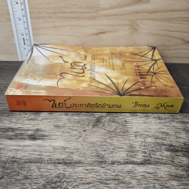 ไนล์...ประกาศิตรักข้ามภพ - Brema Moon รูปที่ 2