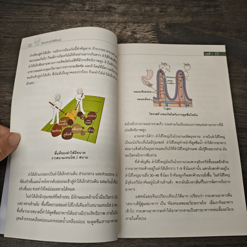 ลำไส้ดีชีวียืนยาว - ดร.ไช่อิงเจี๋ย รูปที่ 9