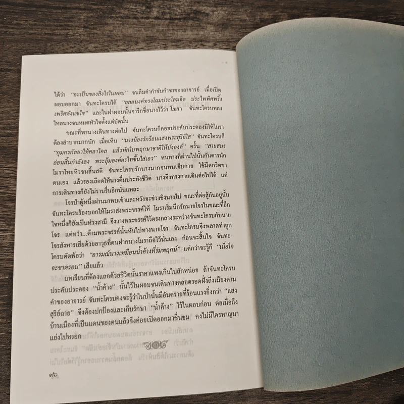 สีสันวรรณคดี ชุดบทวิจารณ์ชีวิต - ศ.ดร.กุสุมา รักษมณี รูปที่ 8