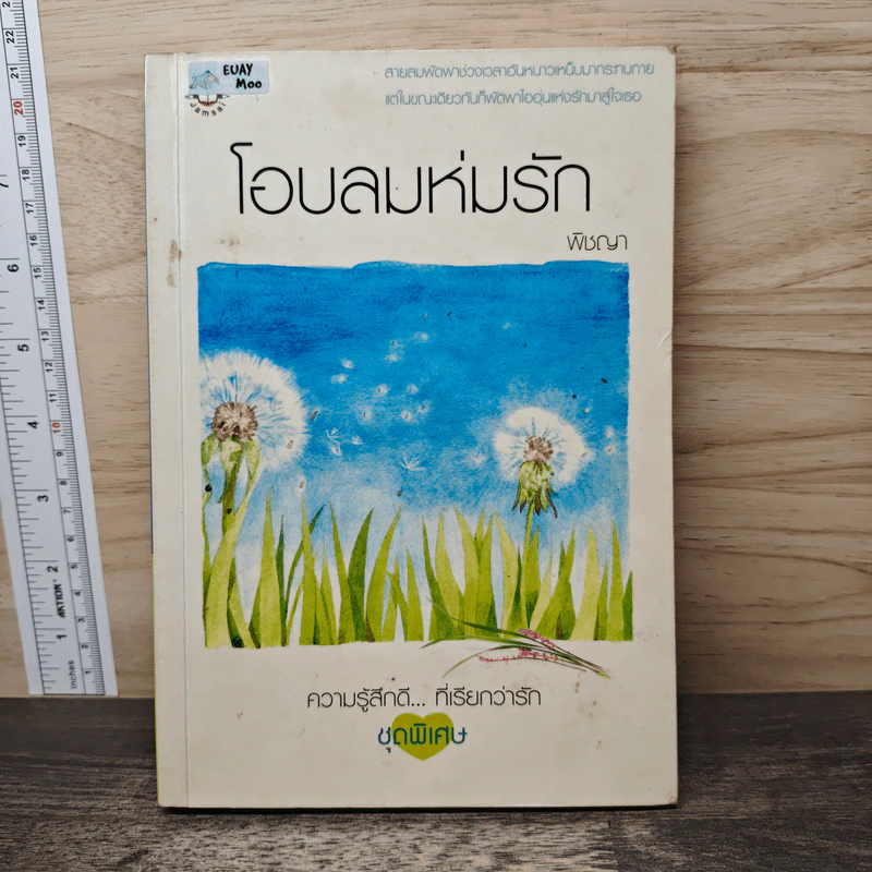 โอบลมห่มรัก - พิชญา รูปที่ 1