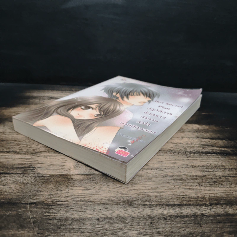 Hot Secret Plan ปฏิบัติการอันตรายท้าทายหัวใจนายมือกลอง - Hideko_Sunshine รูปที่ 4