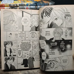 Black Bird 18 เล่มจบ รูปที่ 8