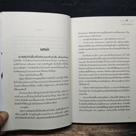 จอมใจแห่งผืนทราย - อยุทธ์ รูปที่ 7