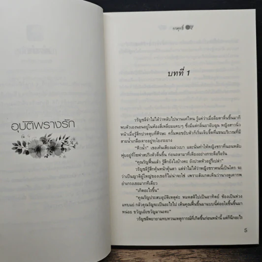 อุบัติพรางรัก - กรศุทธิ์ รูปที่ 7