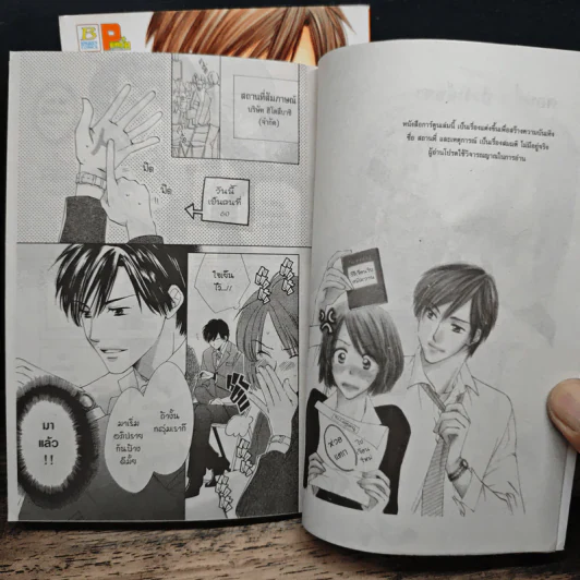 สะดุดรักนายมาดเท่ 2 เล่มจบ รูปที่ 8