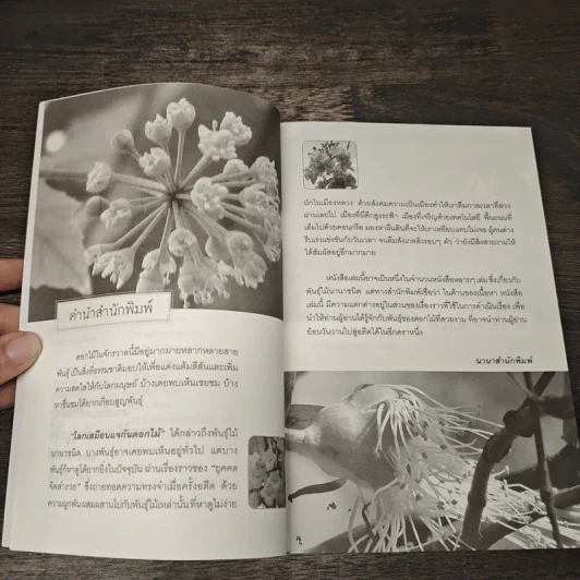 พรรณไม้งาม พันธุ์ผูกใจ - ยุคคล จิตสำรวย รูปที่ 7