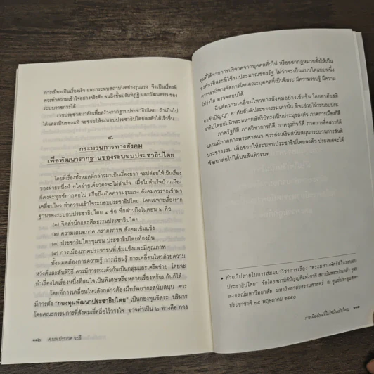 การเมืองใหม่ ที่ไม่ใช่เงินเป็นใหญ่ - ศ.นพ.ประเวศ วะสี รูปที่ 9
