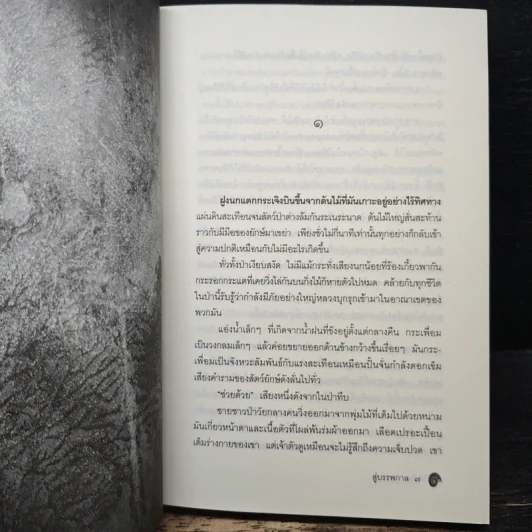 สู่บรรพกาล - จีริหทัย รูปที่ 7