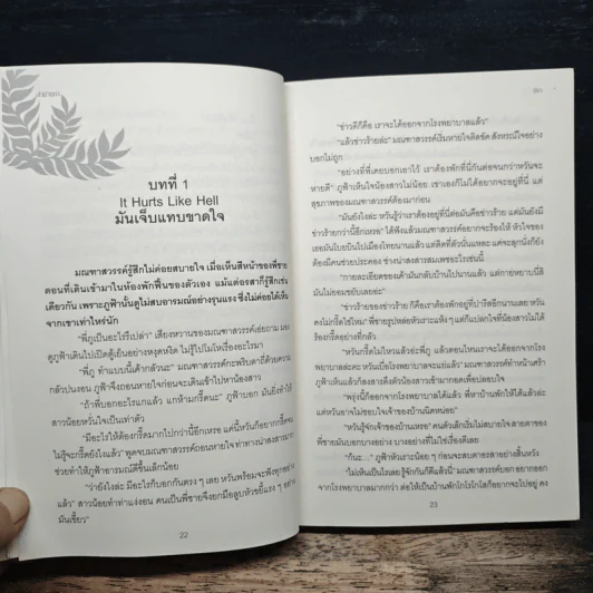 ลำนำนภา - มิรา รูปที่ 8